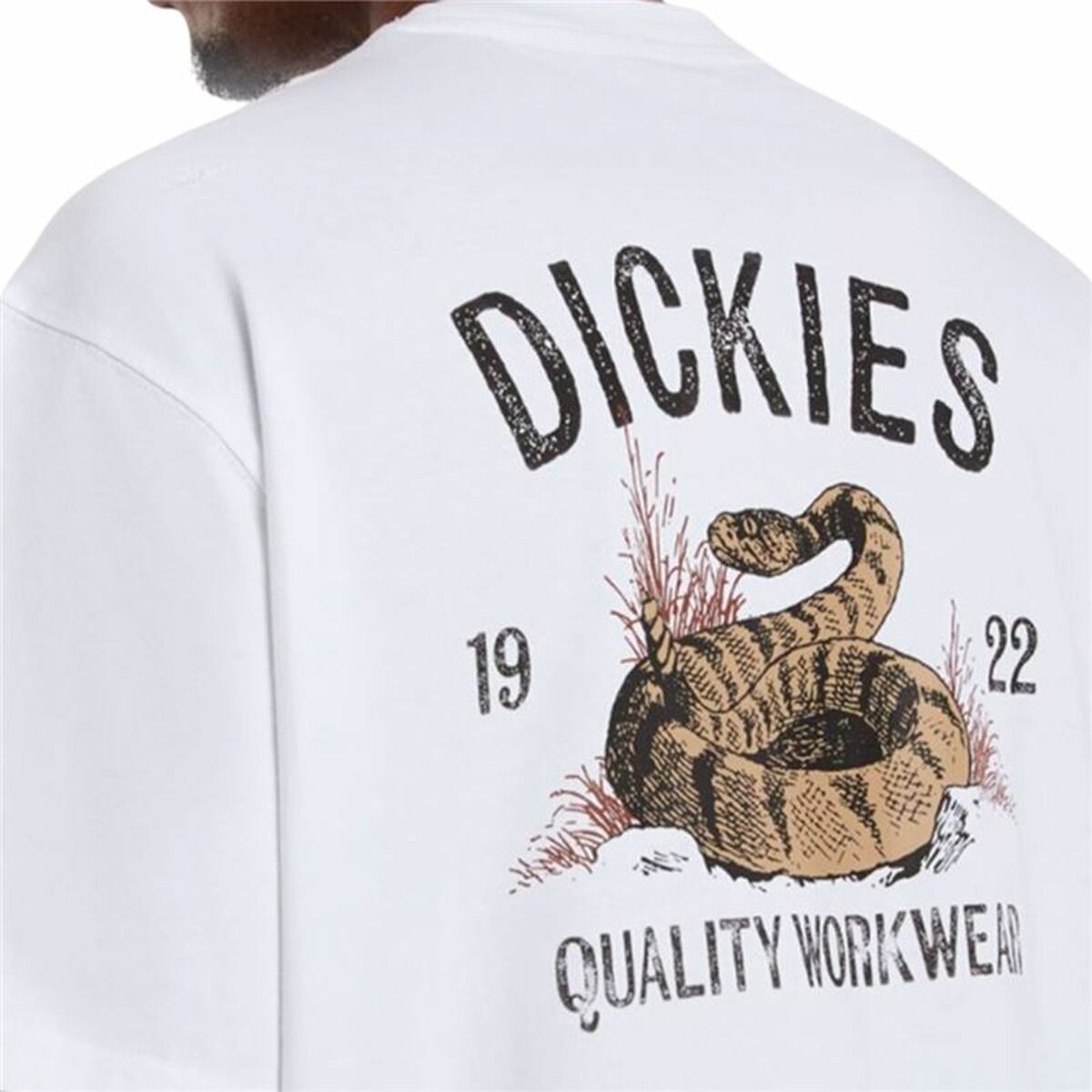 Men’s Short Sleeve T-Shirt Dickies Dickies Snake Ss Tee White-2