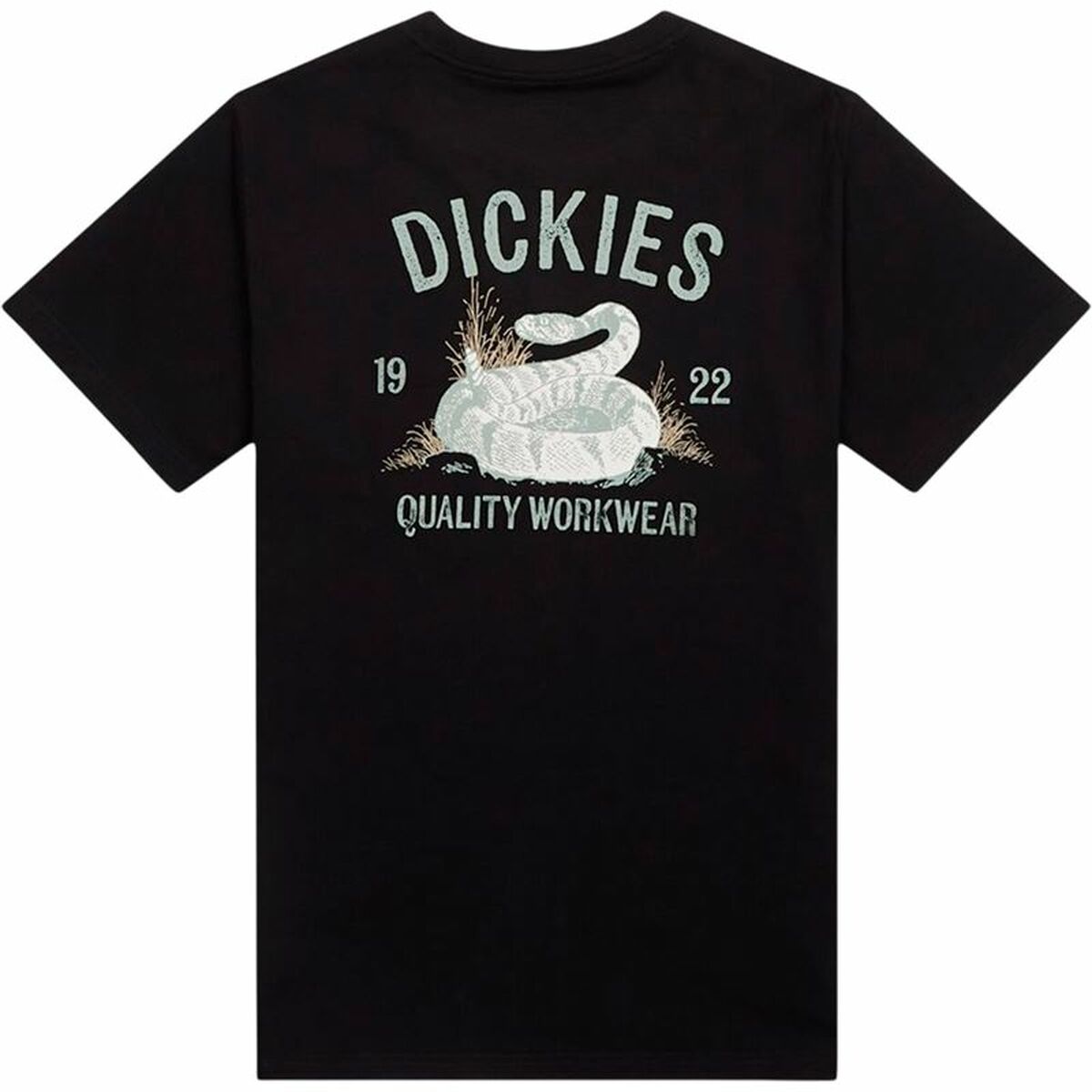 Men’s Short Sleeve T-Shirt Dickies Dickies Snake Ss Tee Black-2