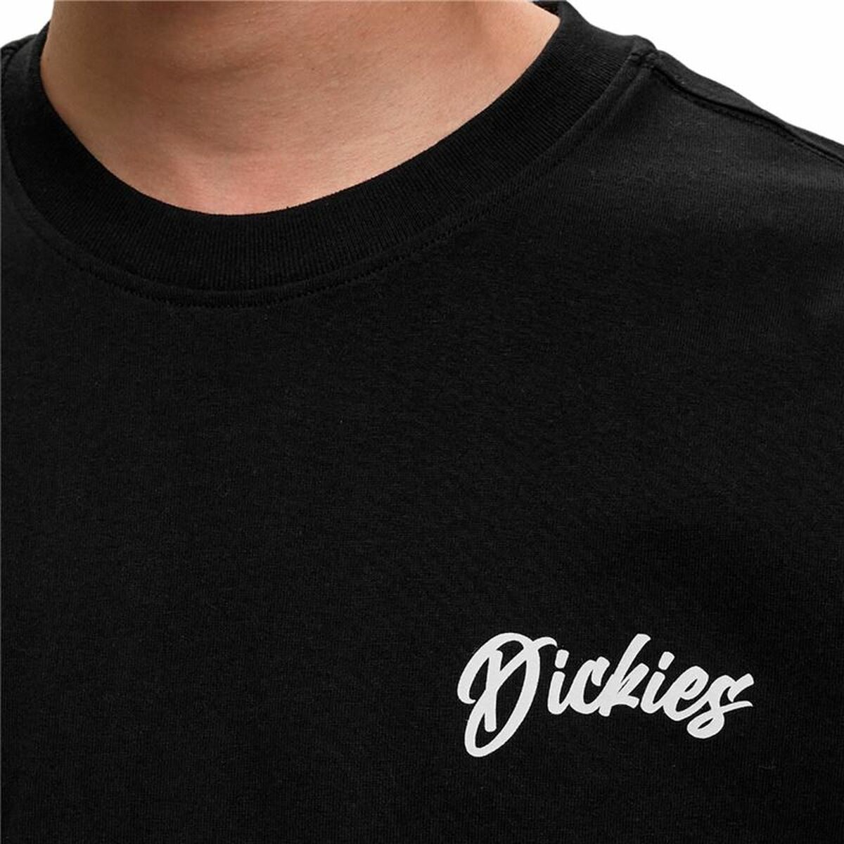 Men’s Short Sleeve T-Shirt Dickies Dighton Black-2