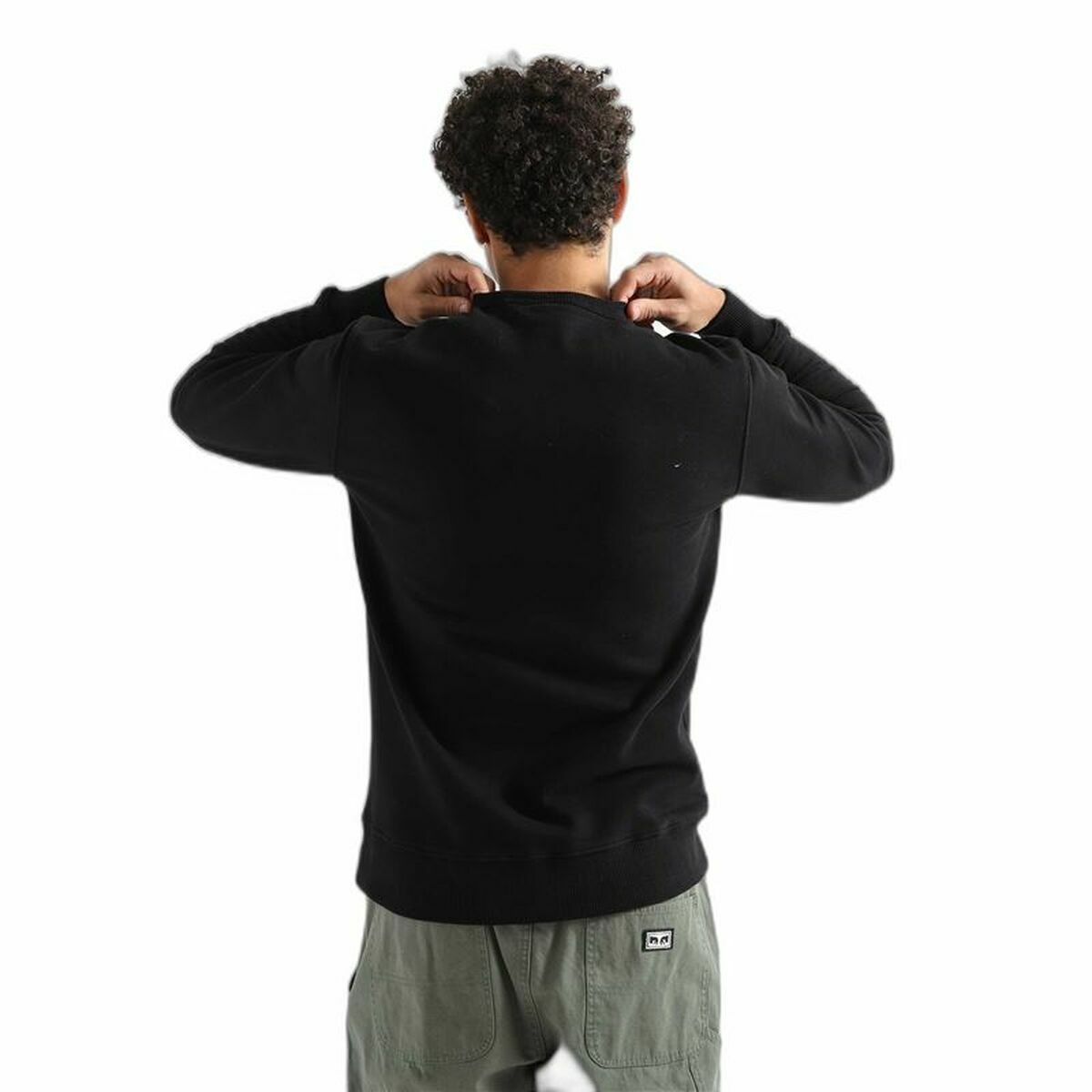 Hoodie Dickies Aitkin Black-3