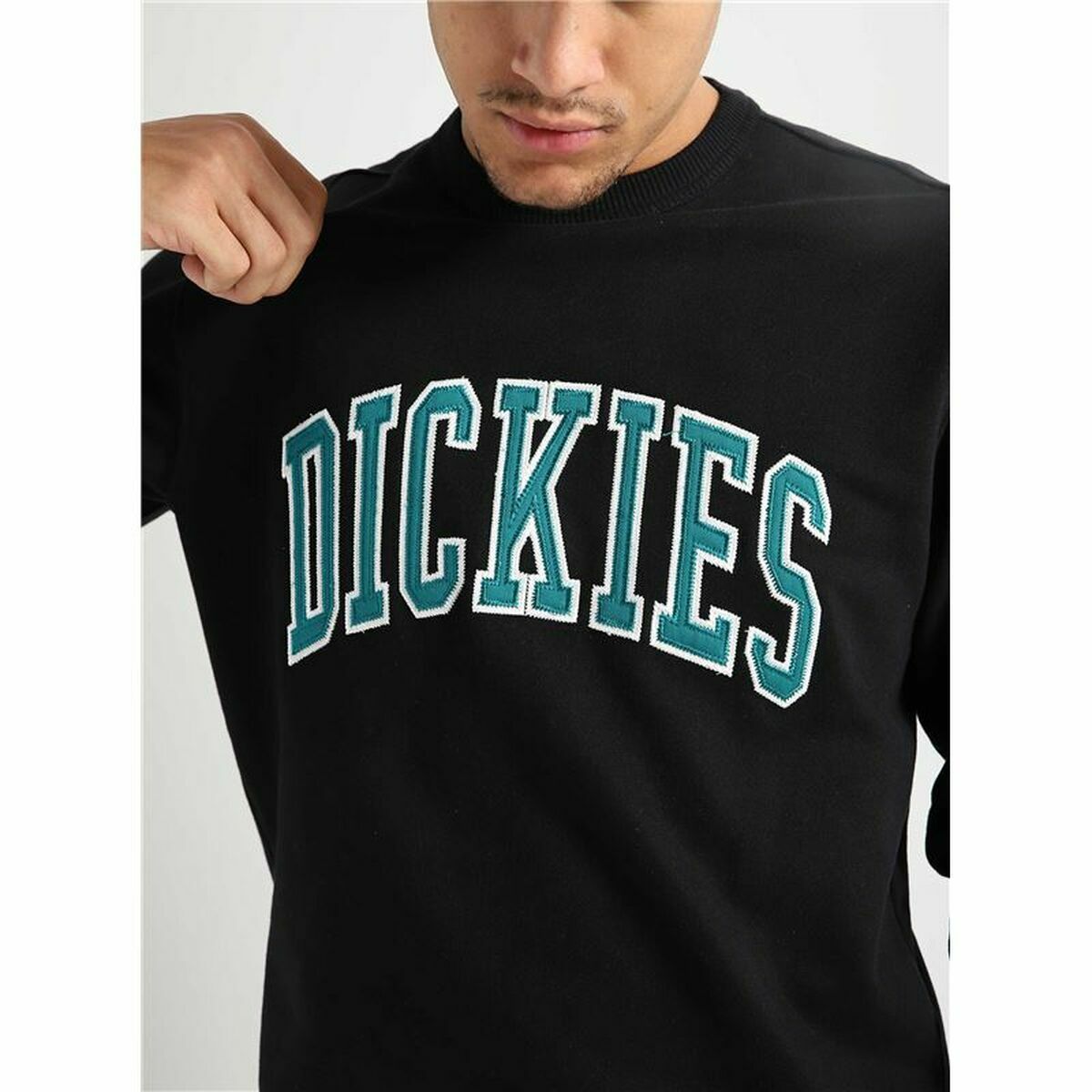 Hoodie Dickies Aitkin Black-6