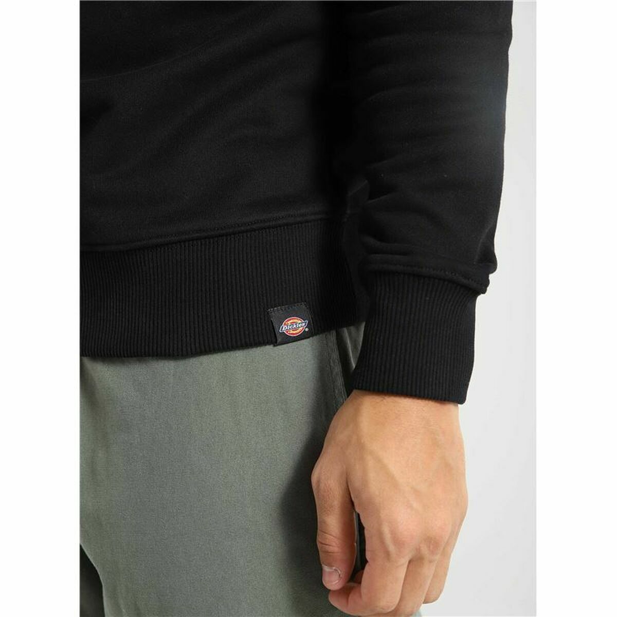 Hoodie Dickies Aitkin Black-5