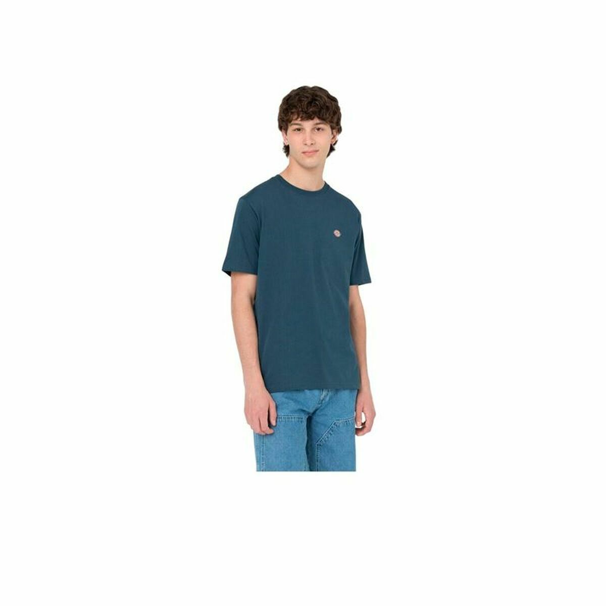 Short Sleeve T-Shirt Dickies Mapleton Air Force Blue Dark blue Men-5